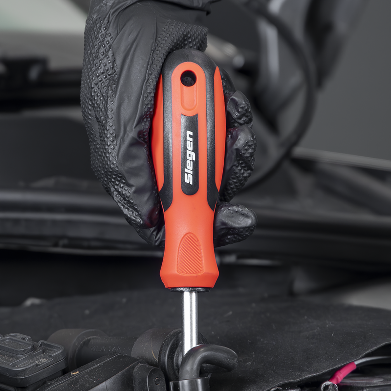 Sealey Siegen Screwdriver Set 21 Piece - Chrome Vanadium Steel