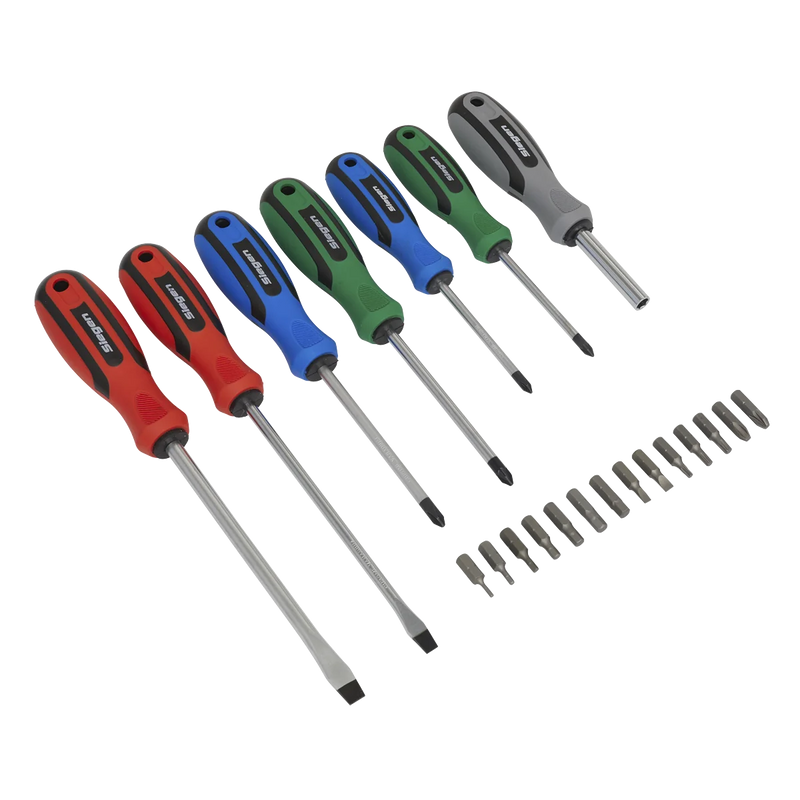 Sealey Siegen Screwdriver Set 21 Piece - Chrome Vanadium Steel