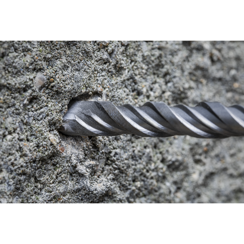 Worksafe SDS Plus Drill Bit 13mm x 310mm