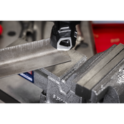 Sealey 100mm SG Iron Vice with Swivel Base