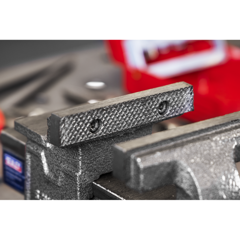 Sealey 100mm SG Iron Vice with Swivel Base