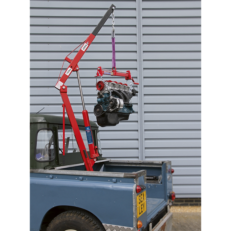 Sealey Static Mounted Crane 750kg SSC750