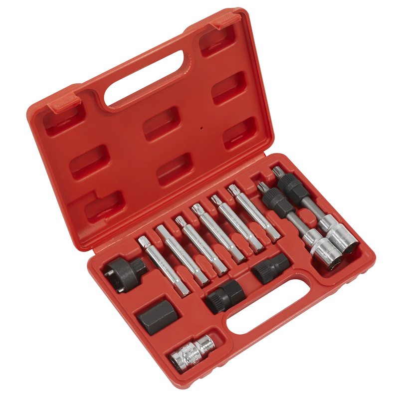 Sealey Alternator Freewheel Removal Set SX401 13 Piece