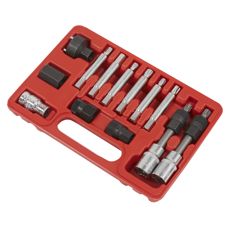 Sealey Alternator Freewheel Removal Set SX401 13 Piece