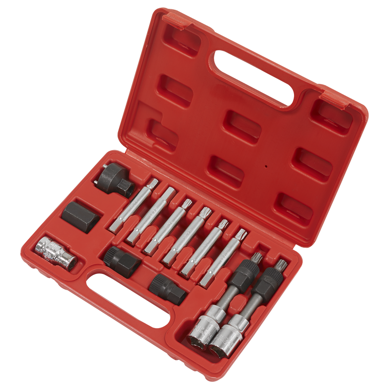 Sealey Alternator Freewheel Removal Set SX401 13 Piece