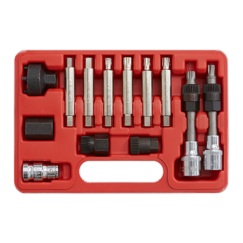 Sealey Alternator Freewheel Removal Set SX401 13 Piece