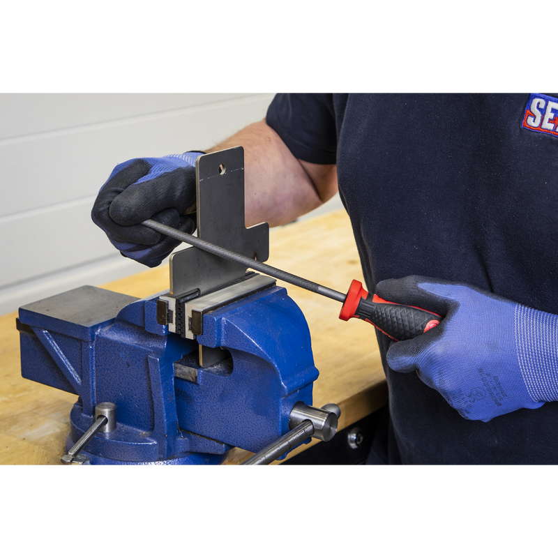Sealey Premier Engineer's File Set 5 Piece with Tool Tray TBT09