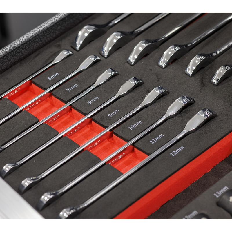 Sealey Premier Ratchet Spanner Set 14 Piece 6-19mm Tool Tray