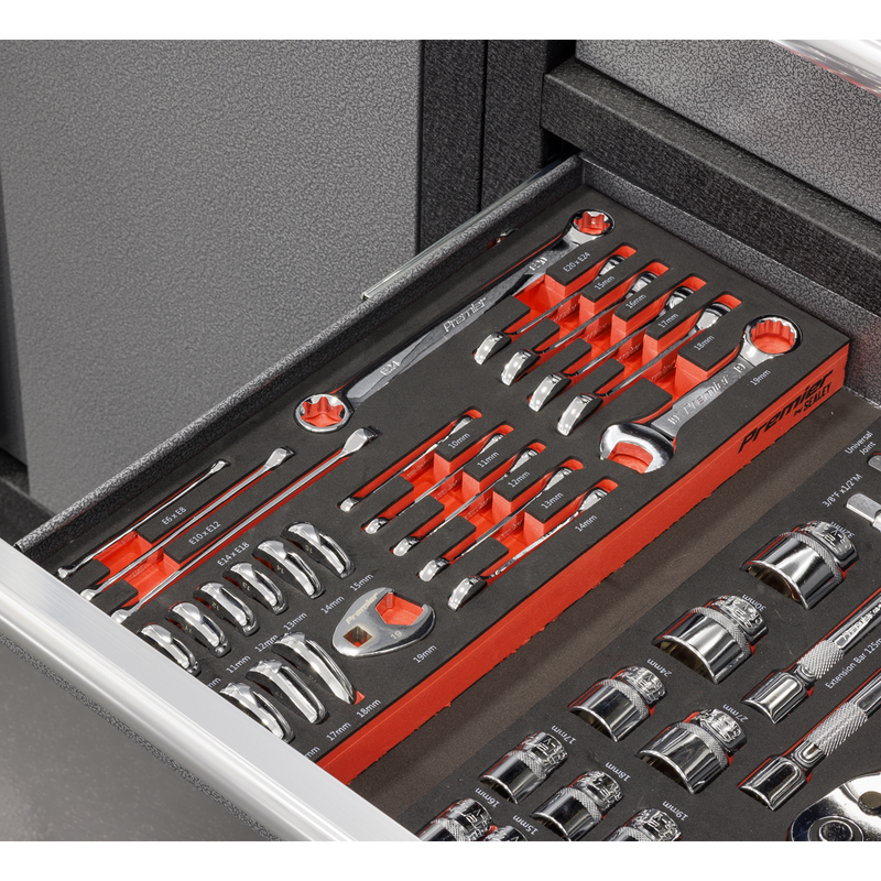 Sealey Premier Stubby Spanner Set TBT50 24 Piece with Tool Tray