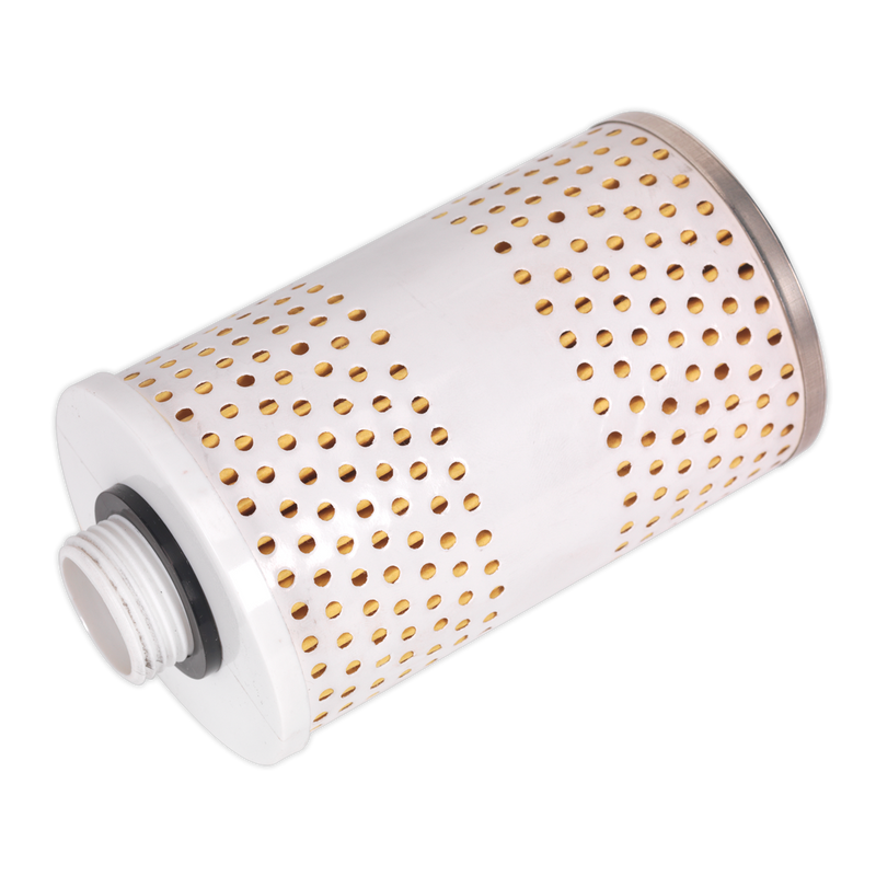 Sealey Filter for TPF01 Model - 0.09kg