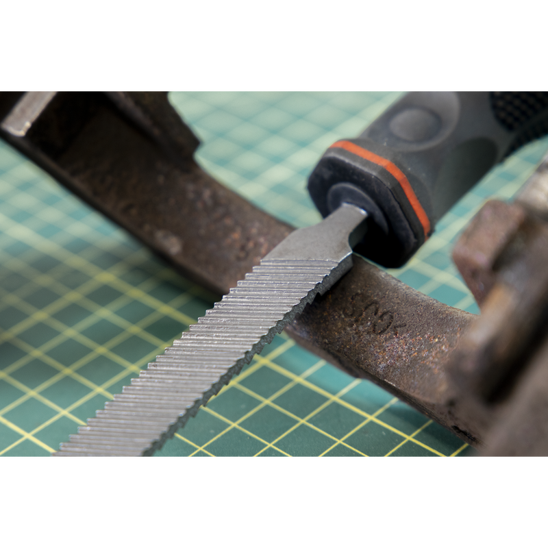 Sealey Caliper Cleaning File 270mm Dual-Grit Tool
