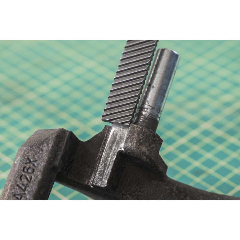 Sealey Caliper Cleaning File 270mm Dual-Grit Tool