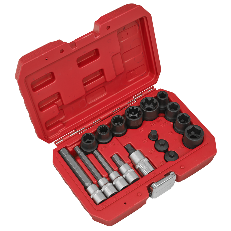 Sealey Brake Caliper Socket Set 17 Piece - Chrome Vanadium Steel