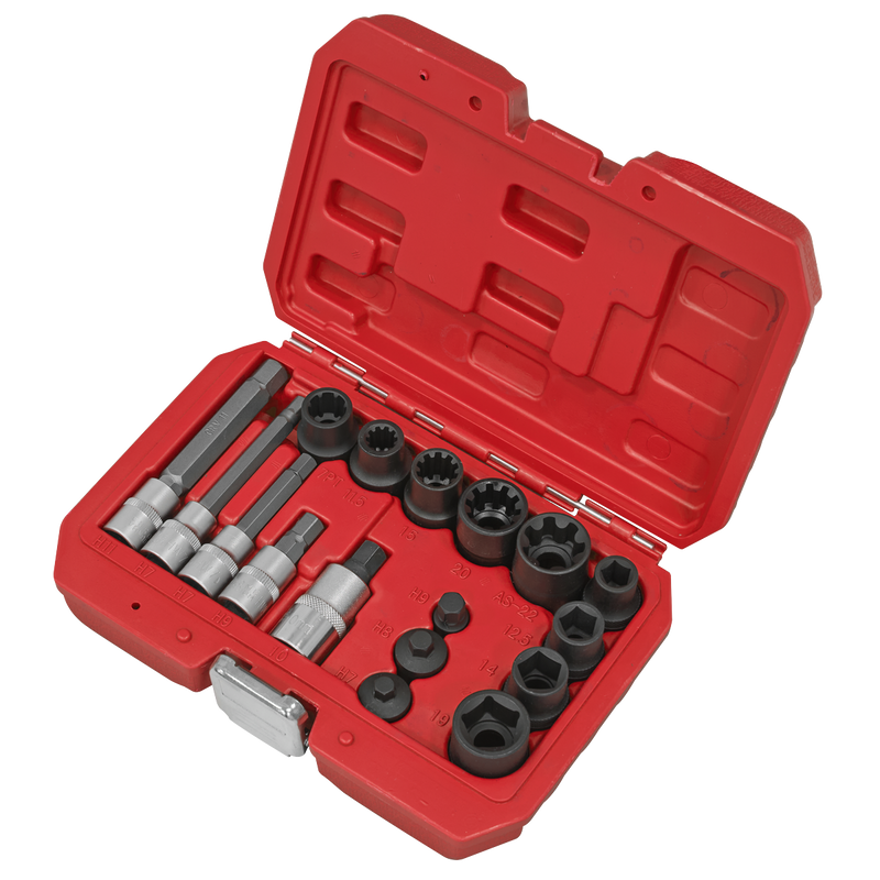 Sealey Brake Caliper Socket Set 17 Piece - Chrome Vanadium Steel