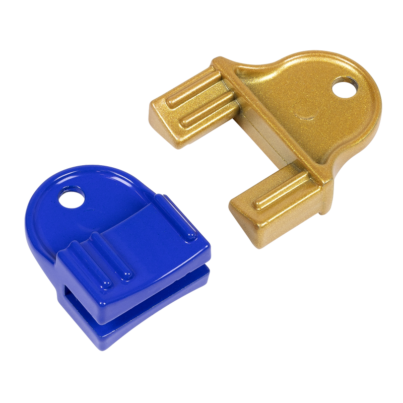 Sealey Petrol Engine Timing Tool Kit VS1700 for GM, Saab, Chevrolet
