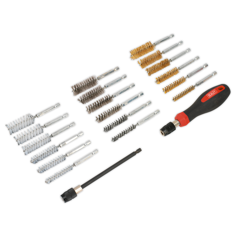 Sealey Cleaning Brush Set 20 Piece VS1800 Ø9-19mm