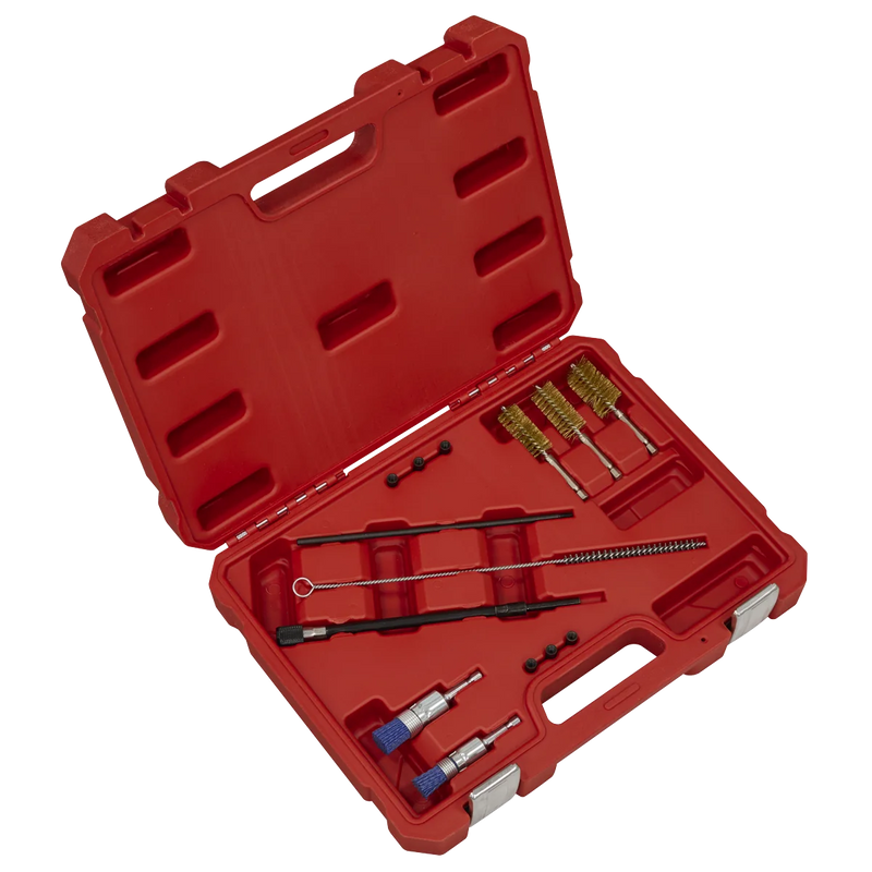 Sealey Injector Bore Cleaning Brush Set 14 Piece Ø18-25mm