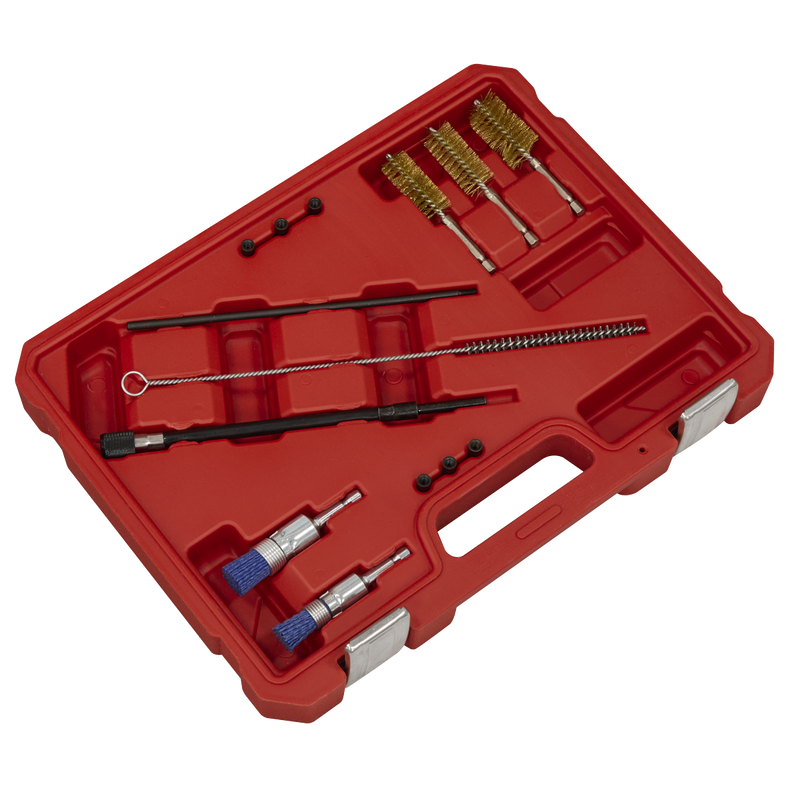 Sealey Injector Bore Cleaning Brush Set 14 Piece Ø18-25mm