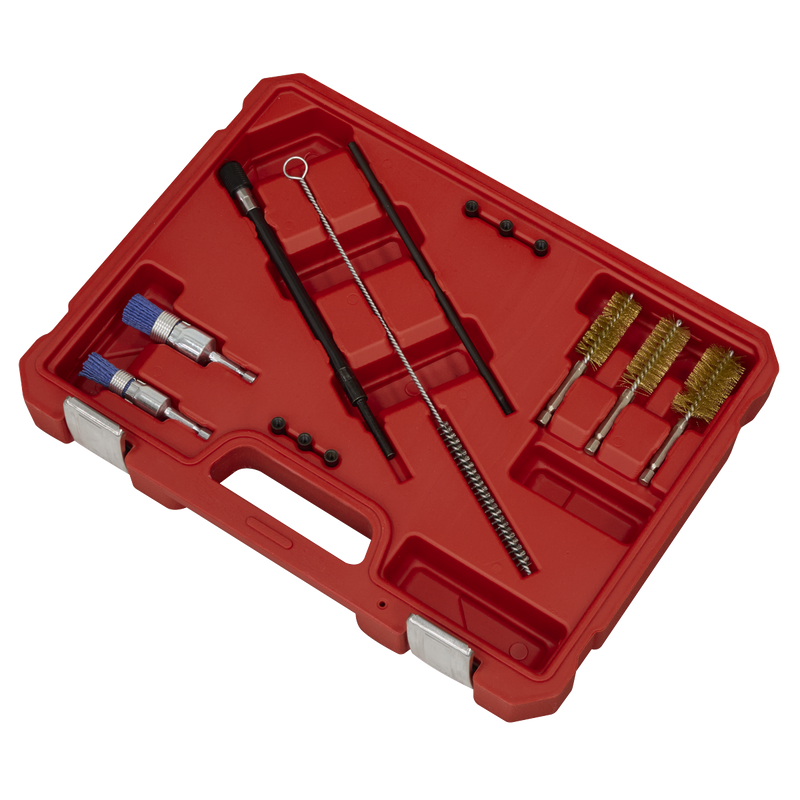 Sealey Injector Bore Cleaning Brush Set 14 Piece Ø18-25mm