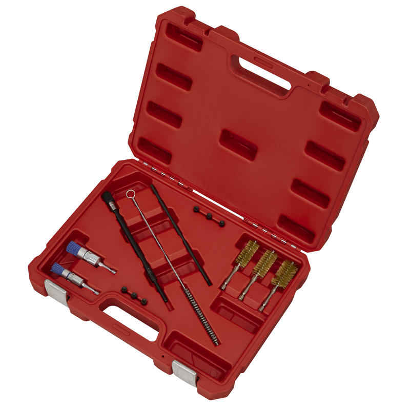 Sealey Injector Bore Cleaning Brush Set 14 Piece Ø18-25mm