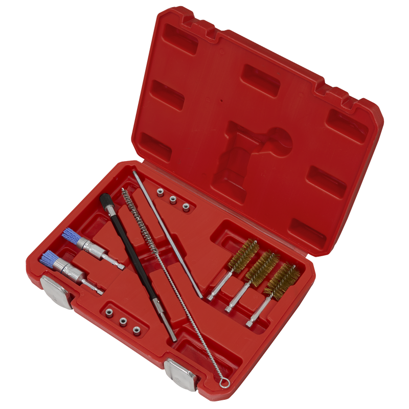 Sealey Injector Bore Cleaning Brush Set 14 Piece Ø18-25mm