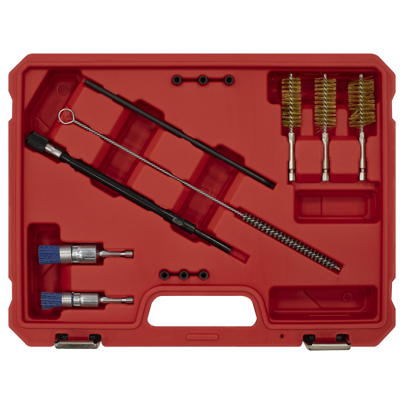 Sealey Injector Bore Cleaning Brush Set 14 Piece Ø18-25mm