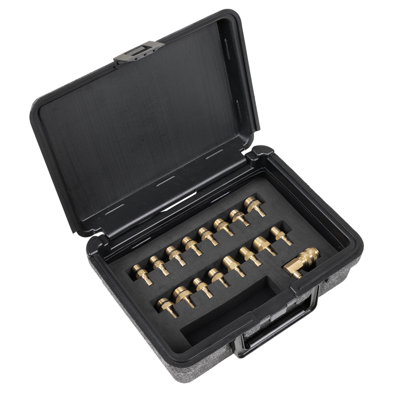Sealey Digital Oil Pressure Test Kit VS217 18 Piece