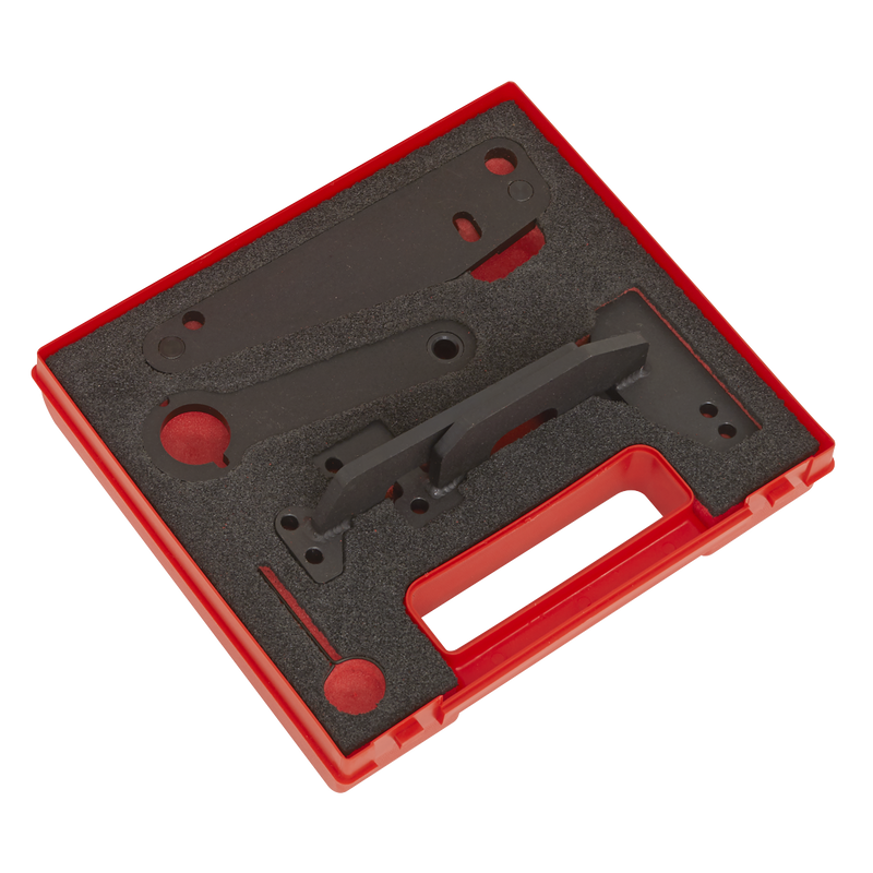 Sealey Petrol Engine Timing Tool VS5260 for Dacia, Nissan, Renault