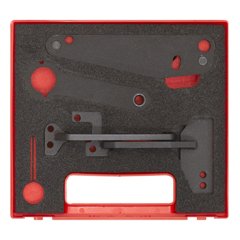 Sealey Petrol Engine Timing Tool VS5260 for Dacia, Nissan, Renault