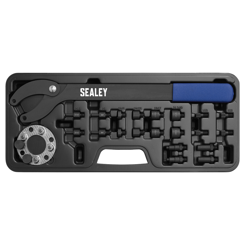 Sealey Pulley Holding/Turning Set VS754 24 Piece
