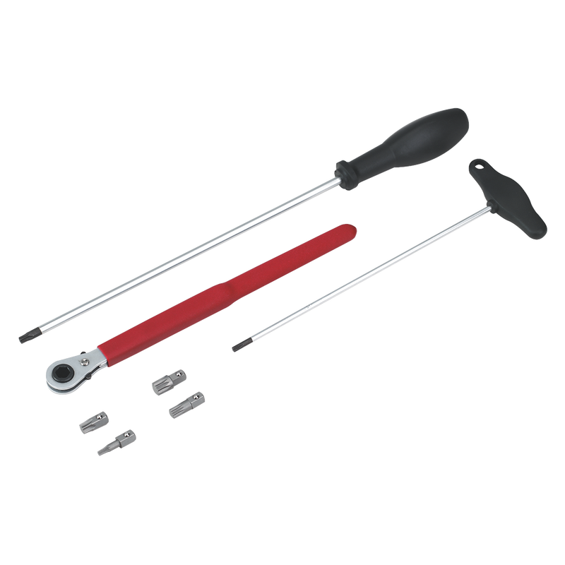 Sealey Door Hinge & Handle Removal Kit VS805 with TRX-Star Drivers
