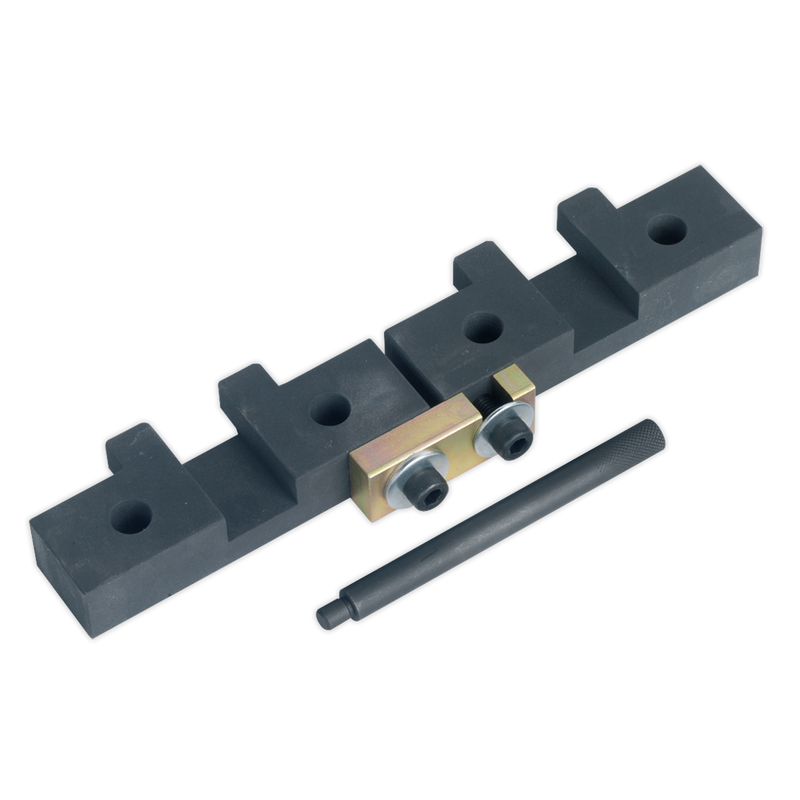 Sealey Petrol Engine Timing Tool Kit VSE4425 for BMW Models