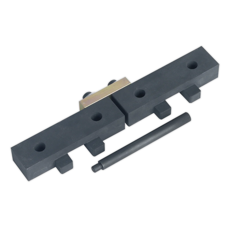 Sealey Petrol Engine Timing Tool Kit VSE4425 for BMW Models