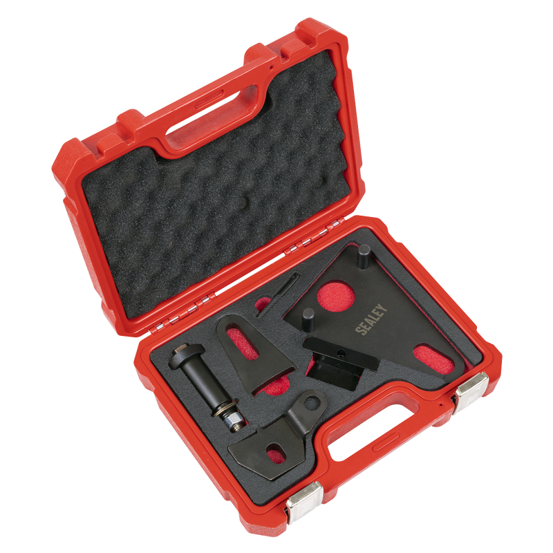 Sealey Front Pulley & Flywheel Locking Tool Set VSE5032 1.93kg