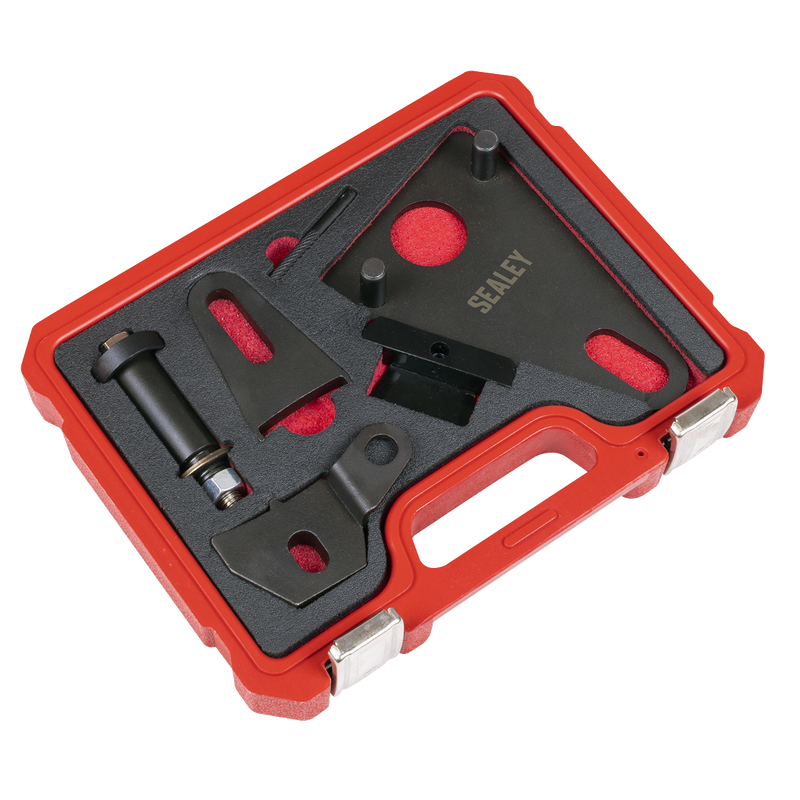 Sealey Front Pulley & Flywheel Locking Tool Set VSE5032 1.93kg