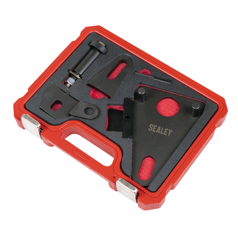 Sealey Front Pulley & Flywheel Locking Tool Set VSE5032 1.93kg
