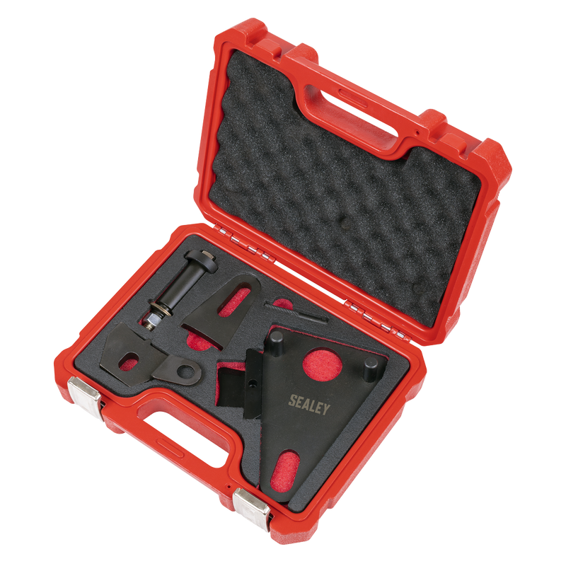 Sealey Front Pulley & Flywheel Locking Tool Set VSE5032 1.93kg