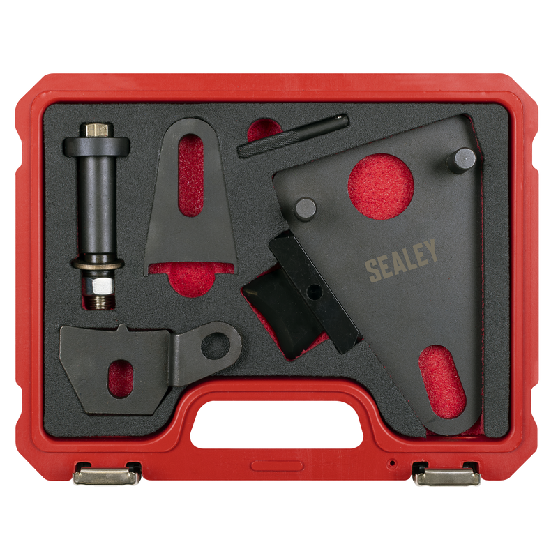 Sealey Front Pulley & Flywheel Locking Tool Set VSE5032 1.93kg