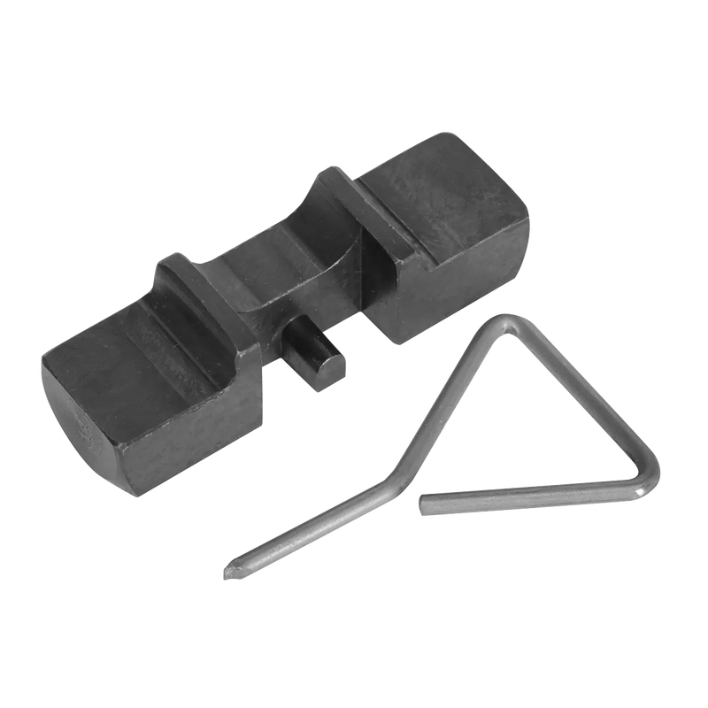 Sealey Balance Shaft Locking Set VSE5953 for VAG 2.0D Pumpe Duse