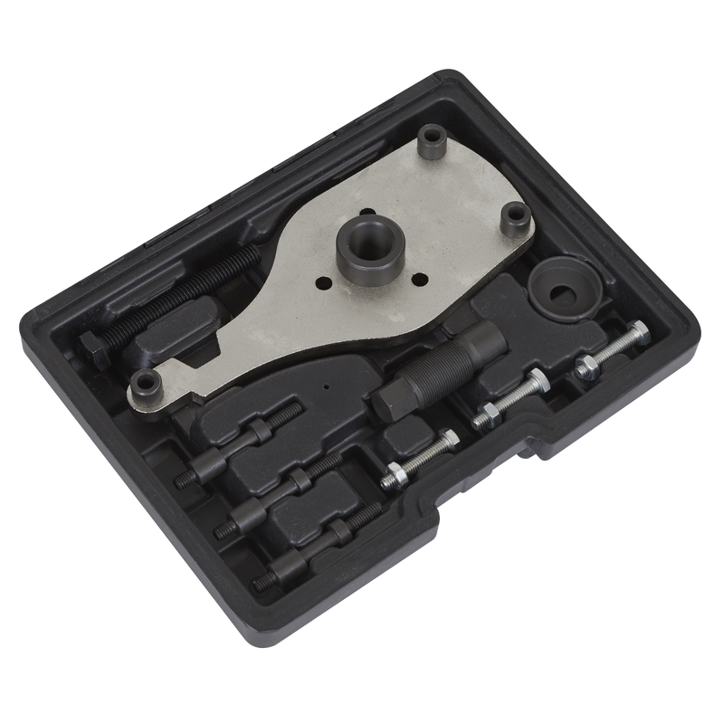 Sealey High Pressure Fuel Pump Remover Installer VSE6541 1.06kg