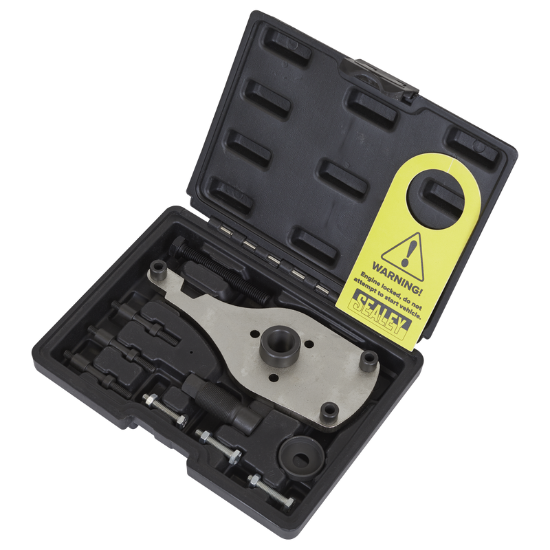 Sealey High Pressure Fuel Pump Remover Installer VSE6541 1.06kg