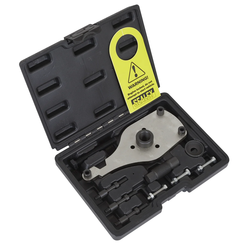 Sealey High Pressure Fuel Pump Remover Installer VSE6541 1.06kg