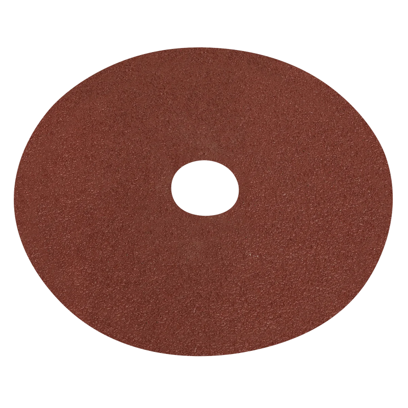 Worksafe 100mm Sanding Disc 40Grit Pack of 25
